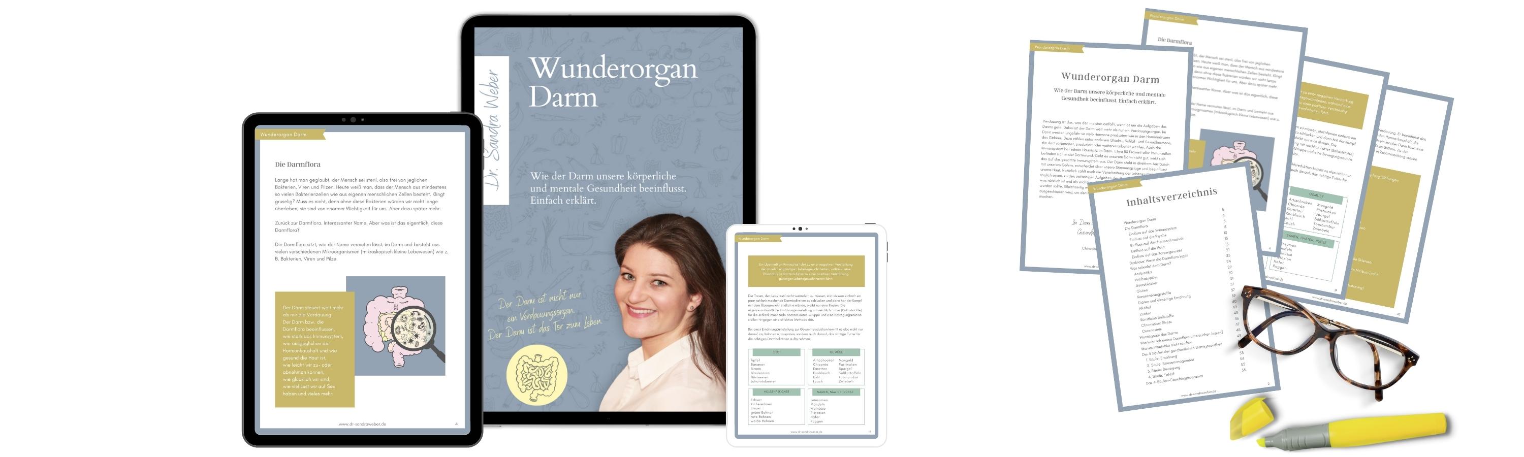 Titelbild des E-Books Wunderorgan Darm auf einem iPad